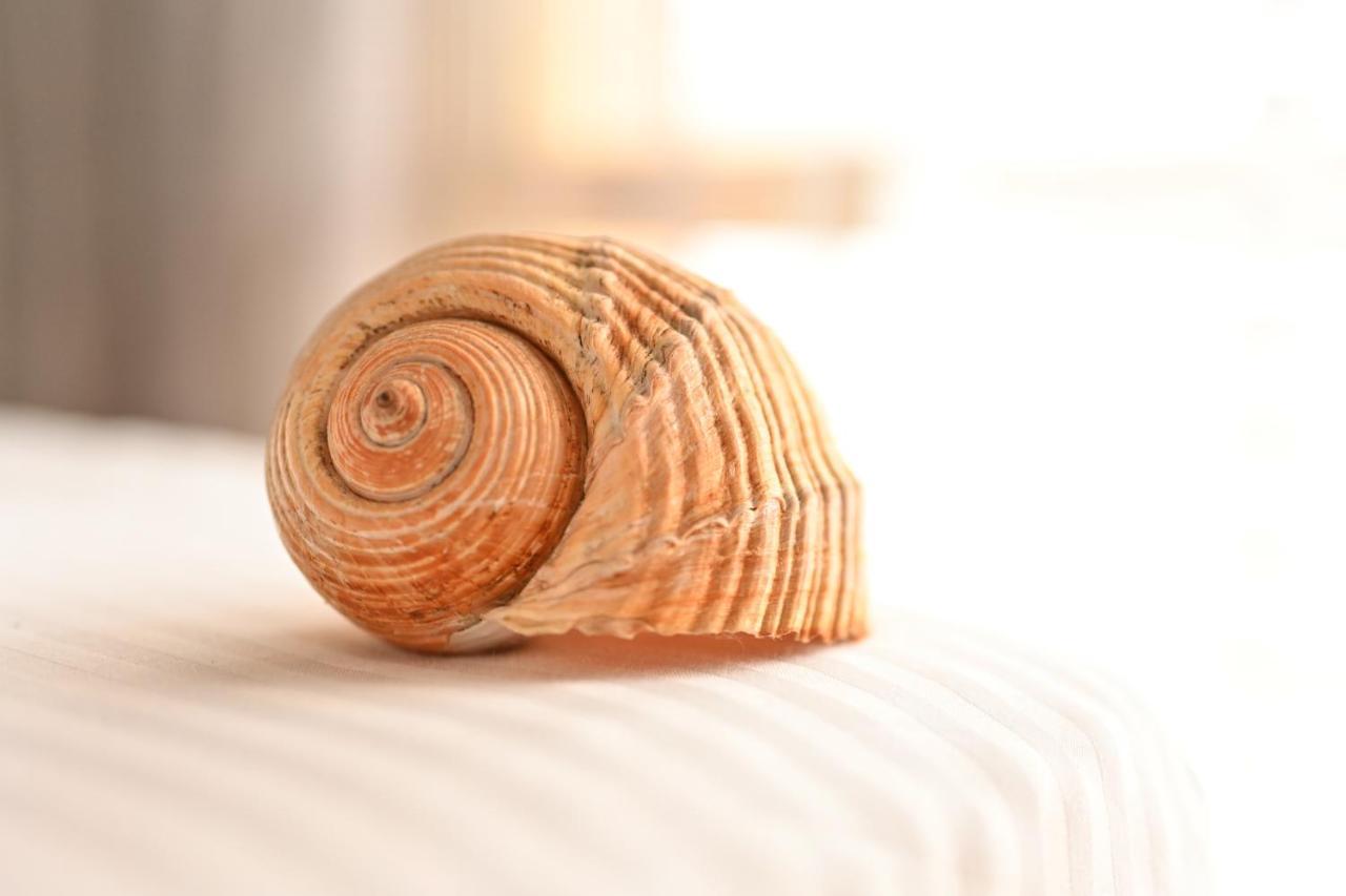 Coastal Retreat - Beach Apartment Vlorë エクステリア 写真